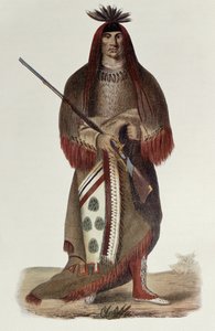 Wa-Na-Ta tai 